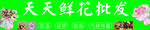 鲜花批发