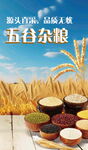 五谷杂粮展板