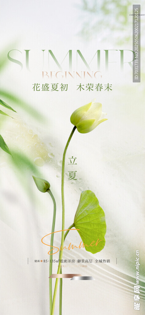 立夏