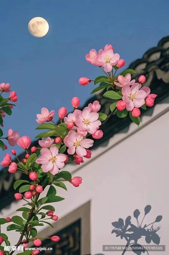 月下海棠
