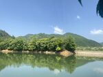 绿水青山