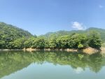 绿水青山