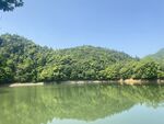 绿水青山