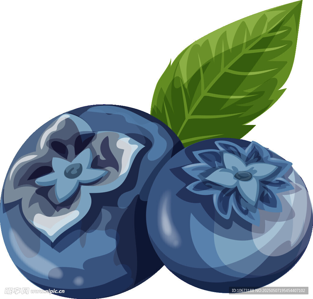 新鲜蓝莓插画