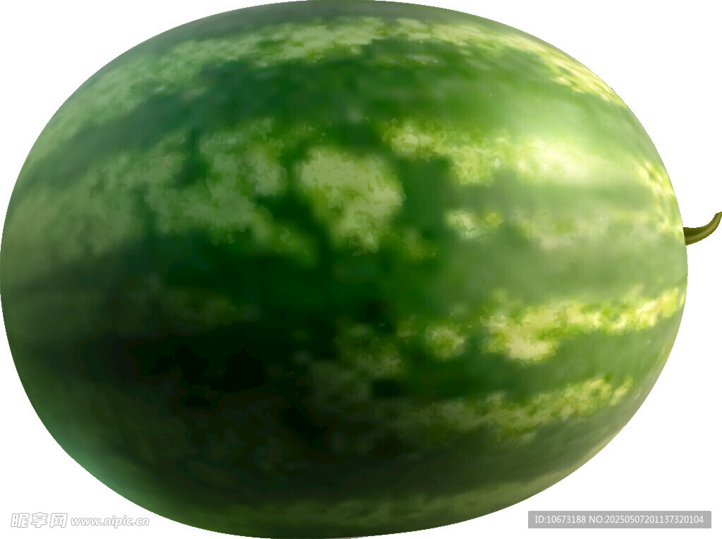 新鲜大西瓜