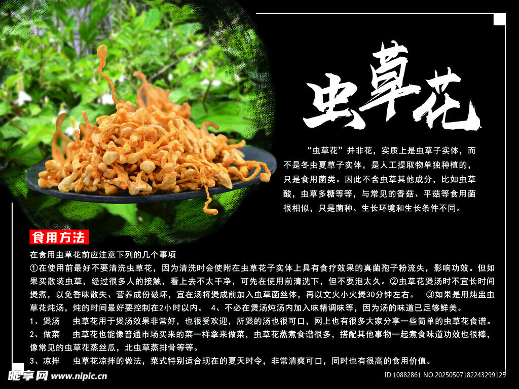 虫草花