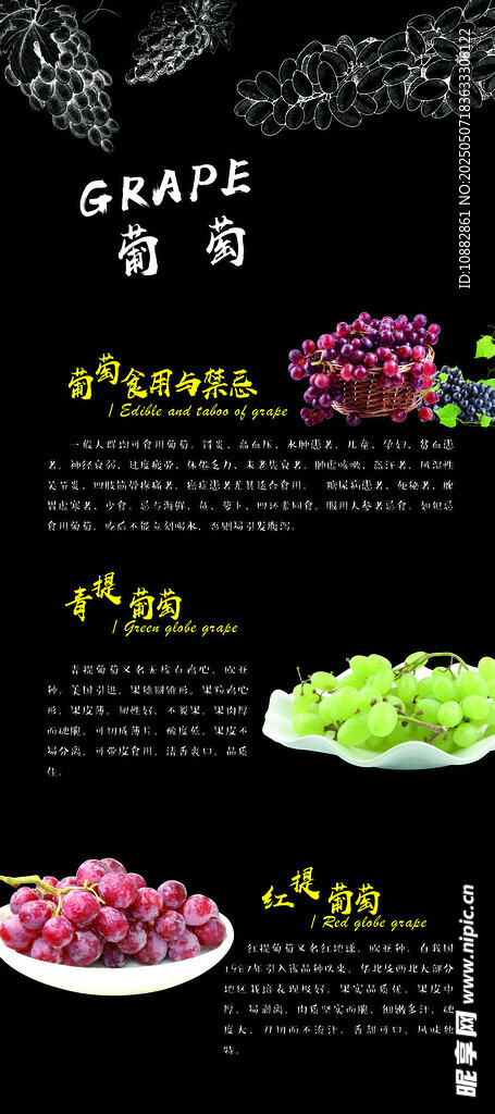 葡萄介绍