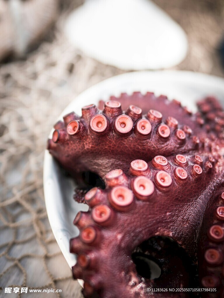 盘中鲜章鱼