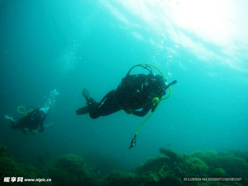 潜水员在海底畅游