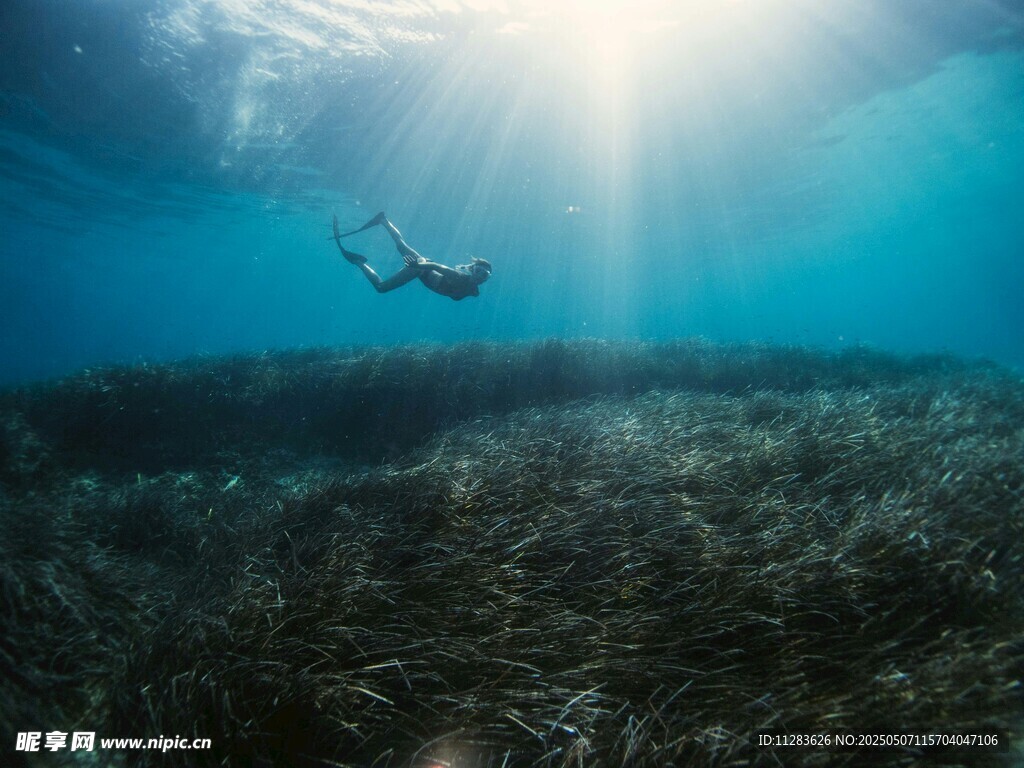 海底潜水者沐浴阳光美景
