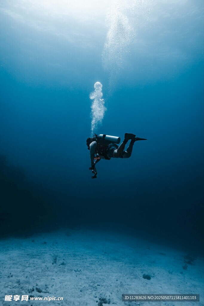深海中的自由潜水者