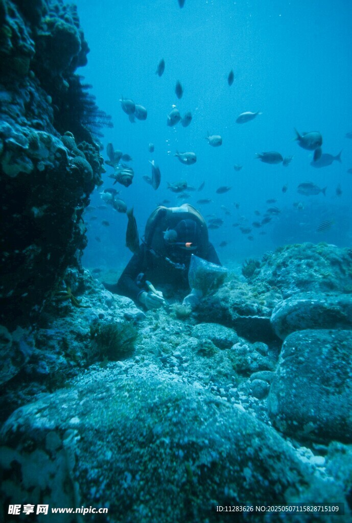 潜水员探索海底珊瑚世界