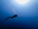 深海潜水员的梦幻遨游