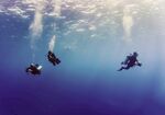 深海潜水员的奇妙之旅