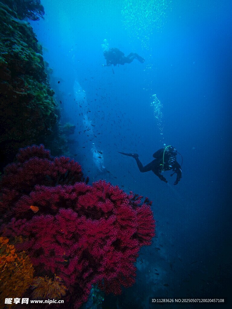 海底潜水美景