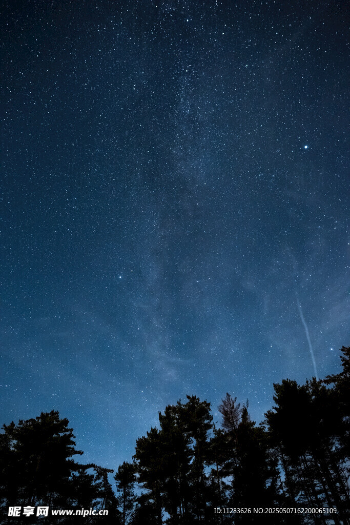 夜空下的树林与闪烁繁星