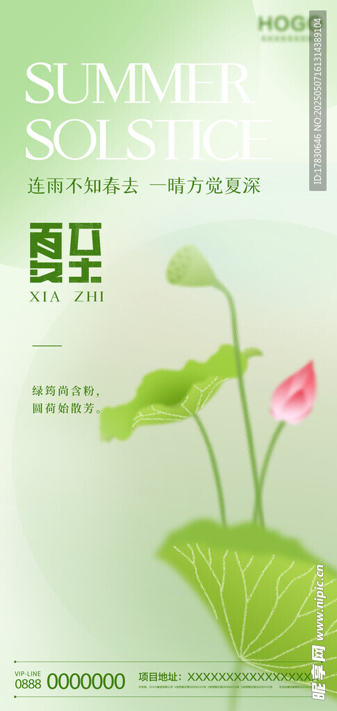 夏日清新荷花主题海报