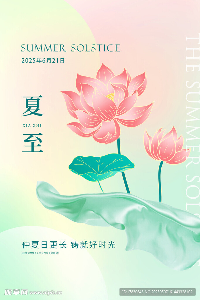 夏至荷花绽放美景