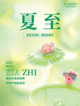 夏至节气清新插画海报
