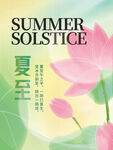 夏至时节荷花绽放
