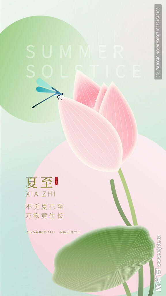 夏日荷花蜻蜓清新插画