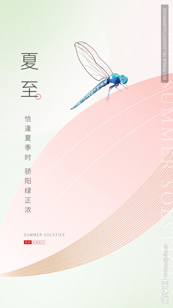 夏至时节蓝蜻蜓插画