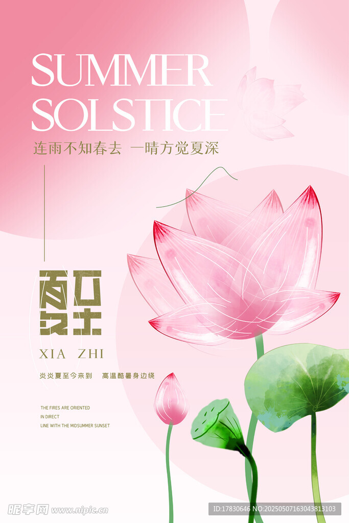 夏日荷花清新海报设计
