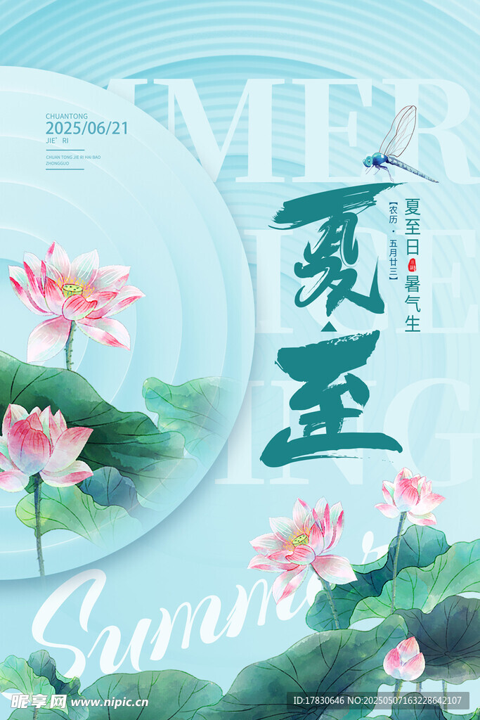 夏至荷花插画海报