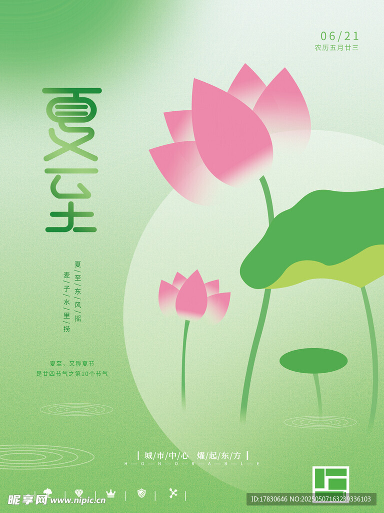 夏日荷花清新插画