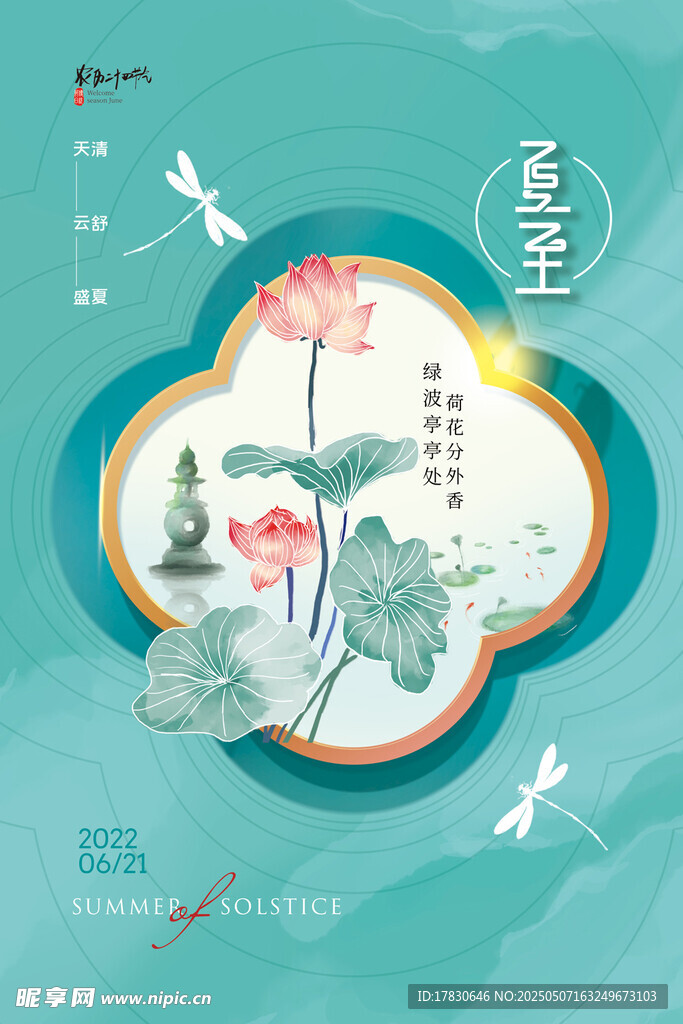 夏至节气插画