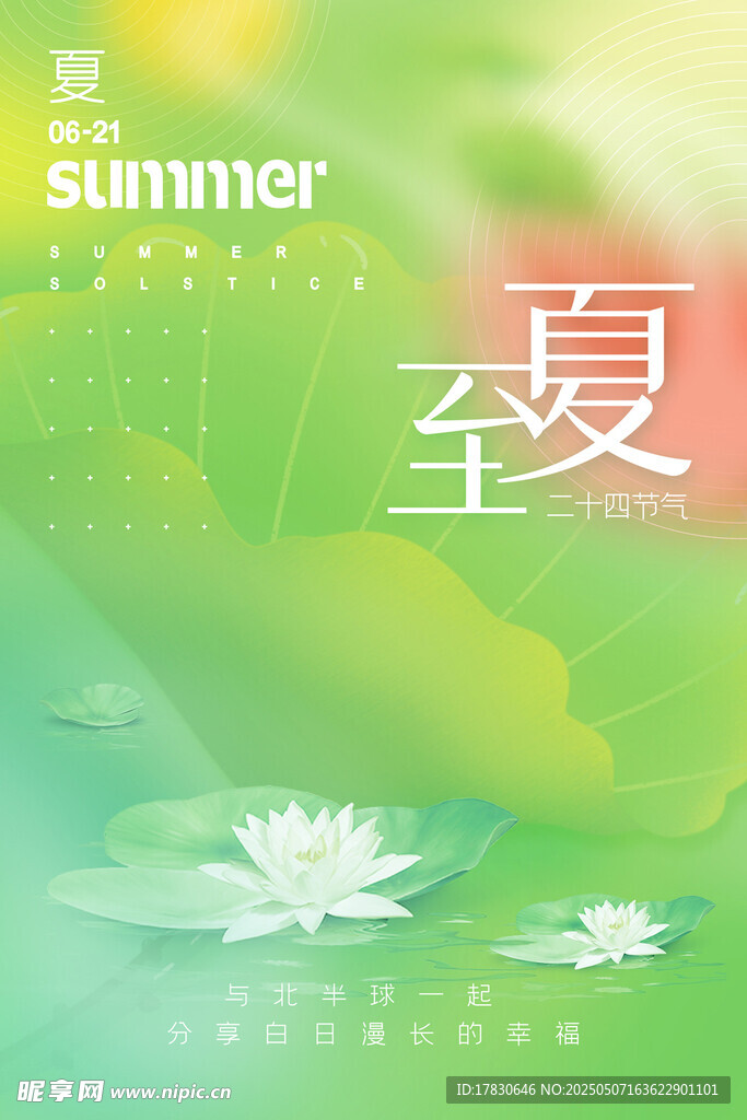 夏日夏至荷花清新图景