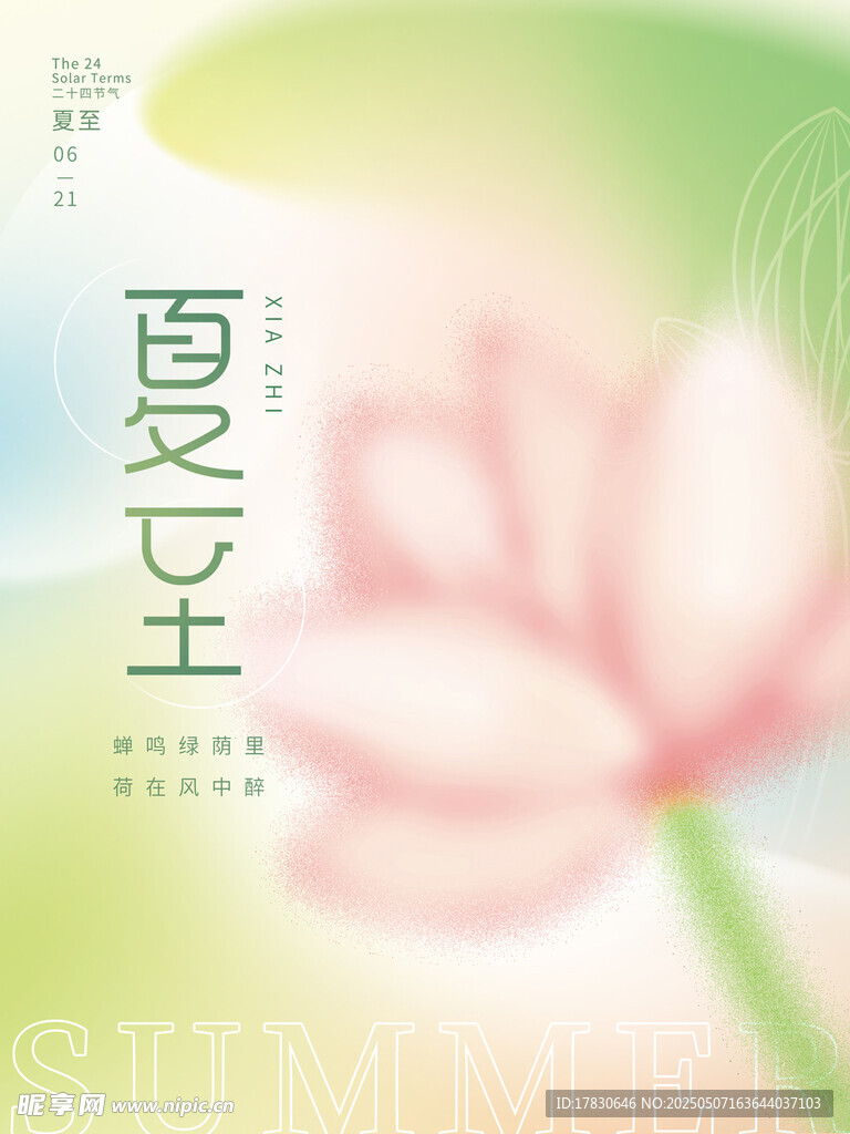 夏日荷花图