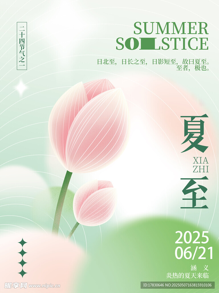 夏至时节粉色荷花海报