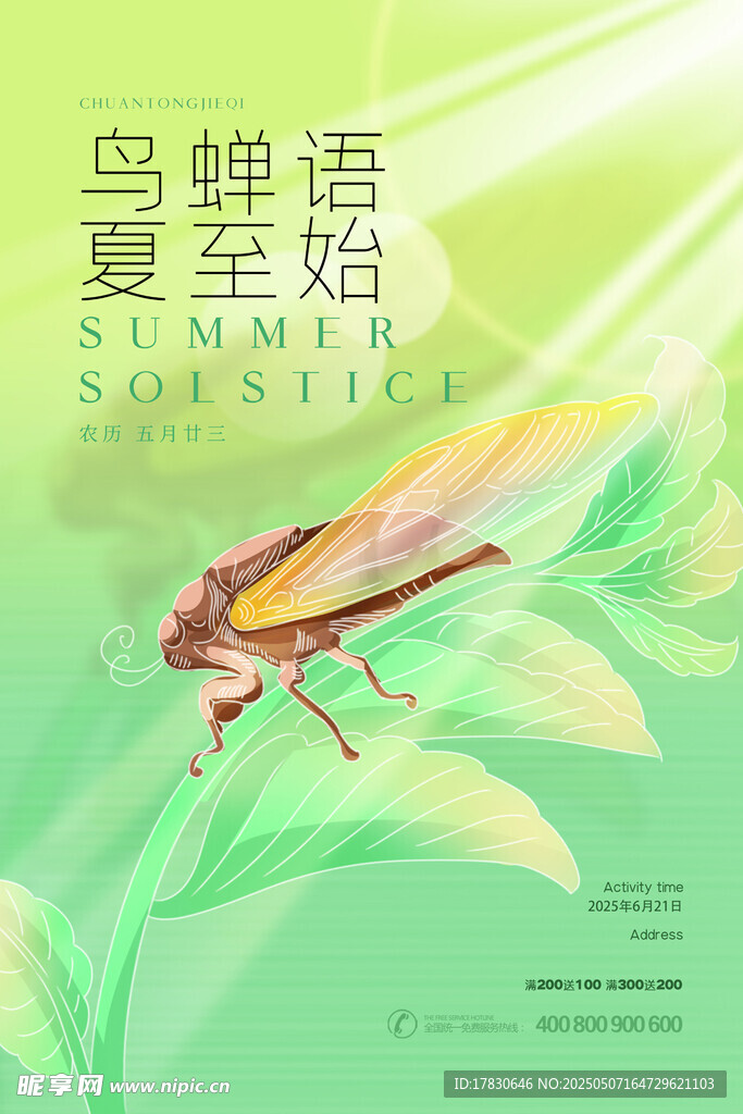 夏日蝉鸣 绿意初绽