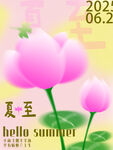 夏至粉色荷花夏日美景