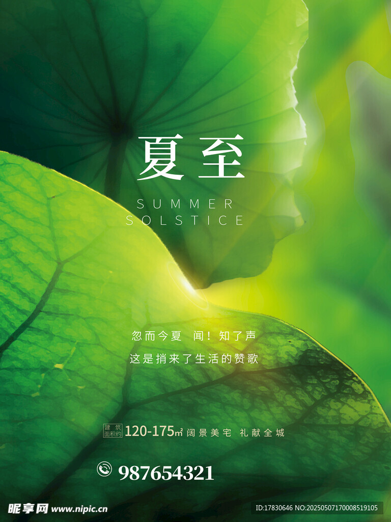 夏至时节绿意盎然