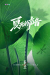 夏日荷塘绿意