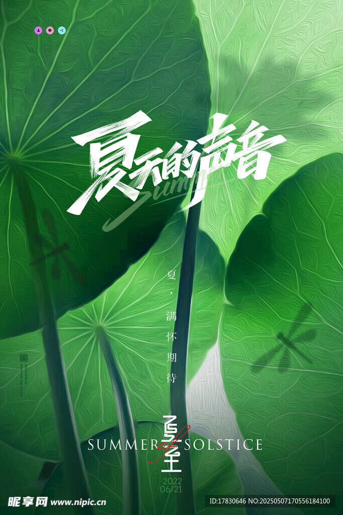 夏日荷塘绿意