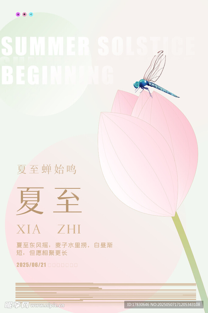 夏至节气粉色清新插画图