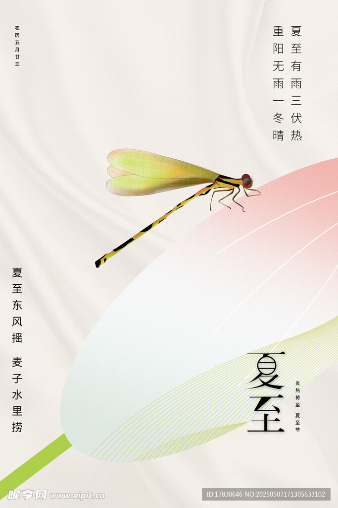 夏至蜻蜓立荷花