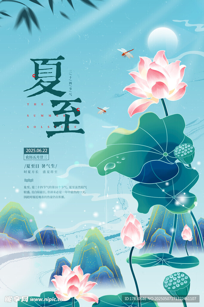 夏至时节荷花绽放美景