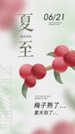 夏至时节红果满枝