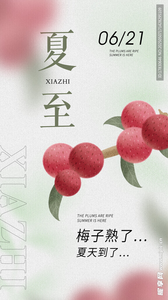 夏至时节红果满枝
