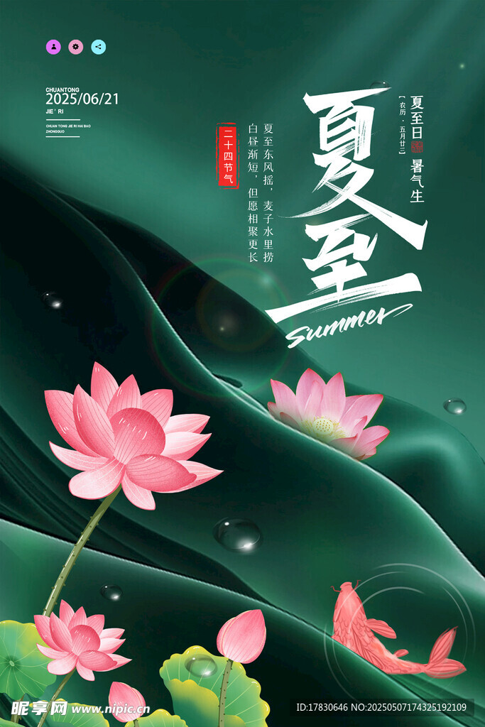 夏日荷花图