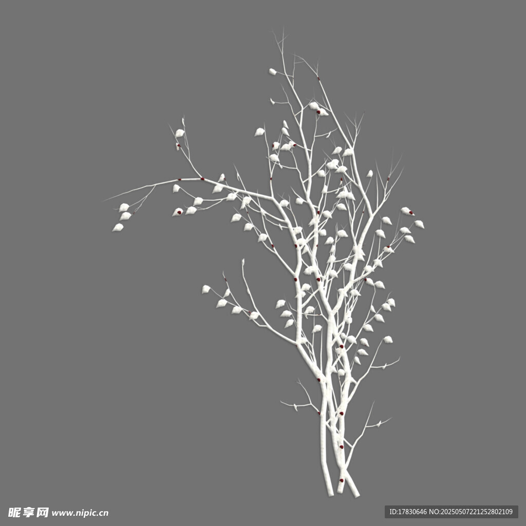 简约白色花枝插画