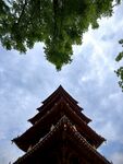 古建塔楼