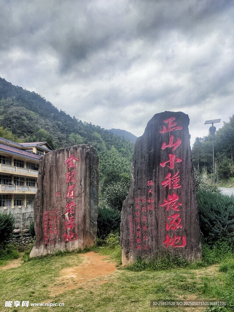 红茶发源地