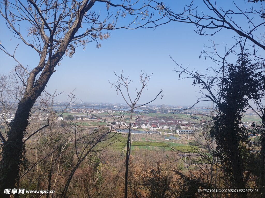 俯瞰山林