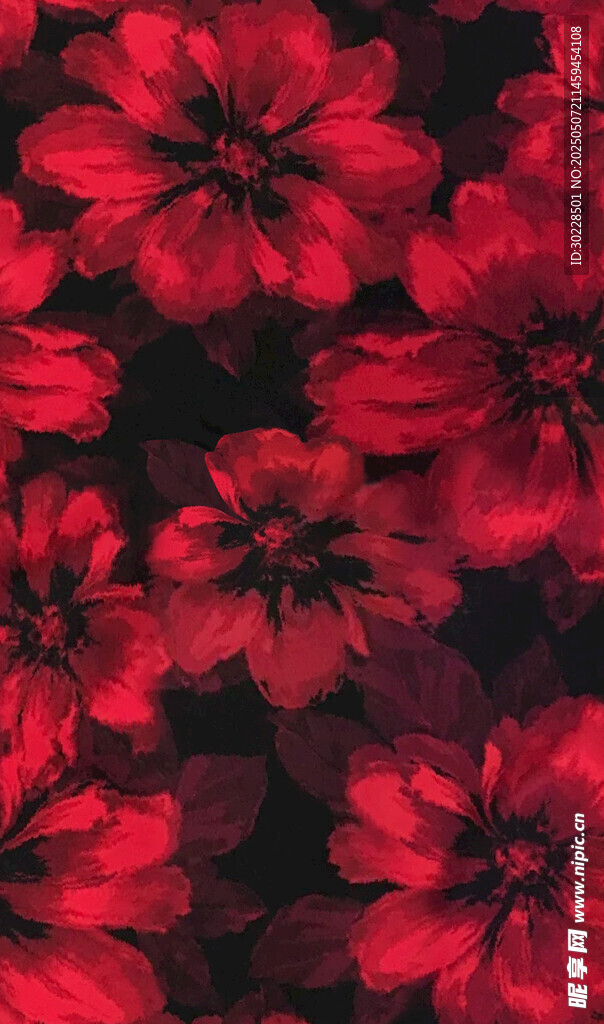 深红花朵特写