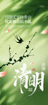 春日清明 燕栖花枝